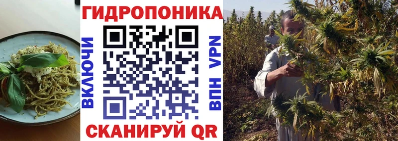 где найти   Мариинский Посад  Еда ТГК марихуана 