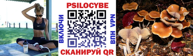 Галлюциногенные грибы Psilocybe  Мариинский Посад 